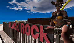 BlackRock, Burning Life 2009