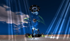"Other Worlds" (Tech-Plant)01, Burning Life 2009