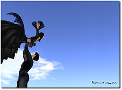 fly with me