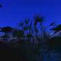 Virtual Africa 009