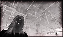 Burning Life 2009 Selavy Oh