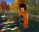 Fall season