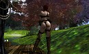 Hidden Forest - Liqueur Felix