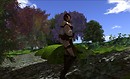 Hidden Forest - Liqueur Felix