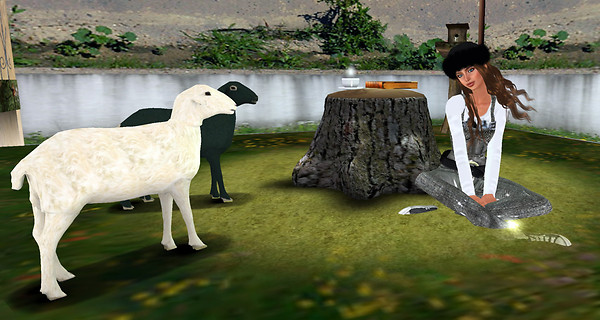 Melli with cute sheep