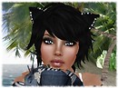 Kitty Kitty