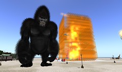 Snapshot_059