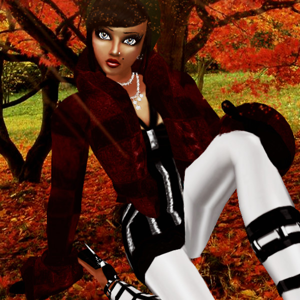 Colors of fall