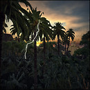 ! The Ancient Mayan Empire !  ROLEPLAY SIMS - OPEN 28th Oct