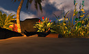 Snapshot_009