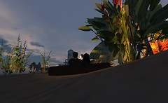 Snapshot_008