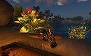Snapshot_007