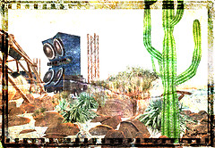 Cactus, rocks and music (Burning Life 2009)