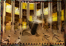 Crash (Burning Life 2009)