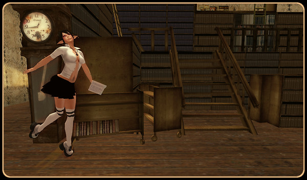 library