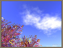 The blue sky