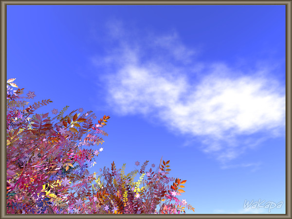 The blue sky