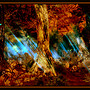 magical autumn