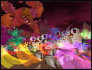 BL 2009 Evolution