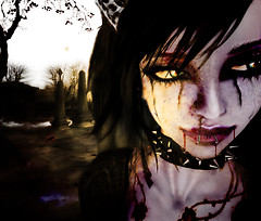 Twilight's Kiss...The Awakening