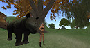 Taming the Ferocious Rhino