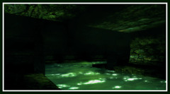 stagnant water
