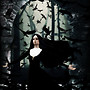 Ravens