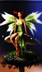 3247839841_a9cf14e353