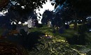 Alfheim Forest - Enchanted Dreamland - Liqueur Felix