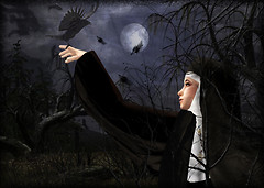 The Nun and the Raven
