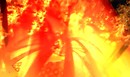 Temple Burn 7