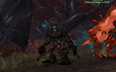Scourge in Zul'Drak