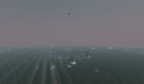 The Corn Field