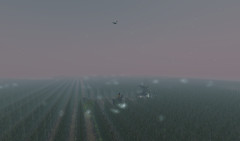 The Corn Field