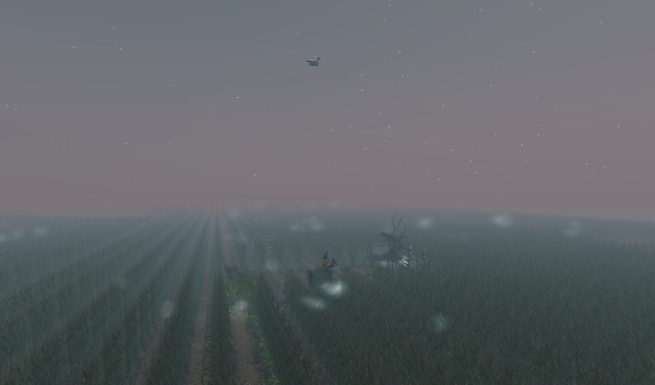 The Corn Field