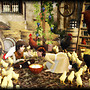 In the farm