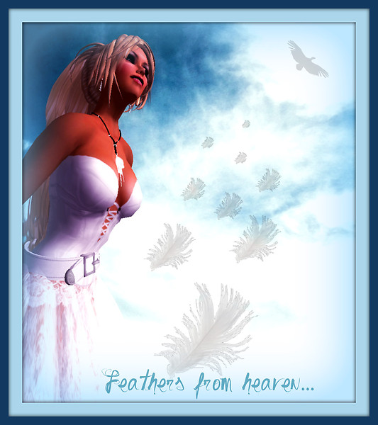 feathers from heaven...
