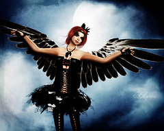 [ new wings are growing tonight ]