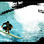 Splendeurs Surfboards