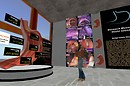 Virtual stomach Musem - hynesyte Harbour