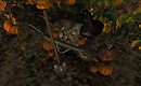 (MB) Sculpted Halloween Wheelbarrow "CREEPY HARVEST" - Torley Linden
