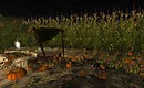 pumpkin patches and a wheelbarrow with witch hat and skulls - Torley Linden