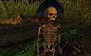 scary figure behind Ziki Questi as skeleton - Torley Linden