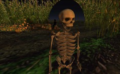 scary figure behind Ziki Questi as skeleton - Torley Linden