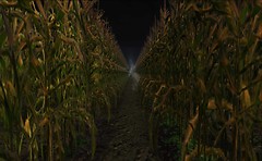 there's something not quite right in the corn - Torley Linden
