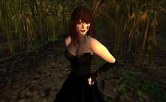 Taly Fluffy: It's difficult to find a Halloween costume 
 that doesn't  just look like an SL s - Torley Linden
