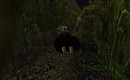Aaaaloha Numbanumba flies through the Corn Field - Torley Linden