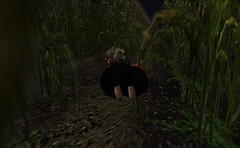 Aaaaloha Numbanumba flies through the Corn Field - Torley Linden