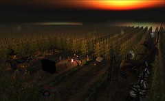 sun warmth over the horizon - Torley Linden