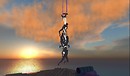 burning life in second life